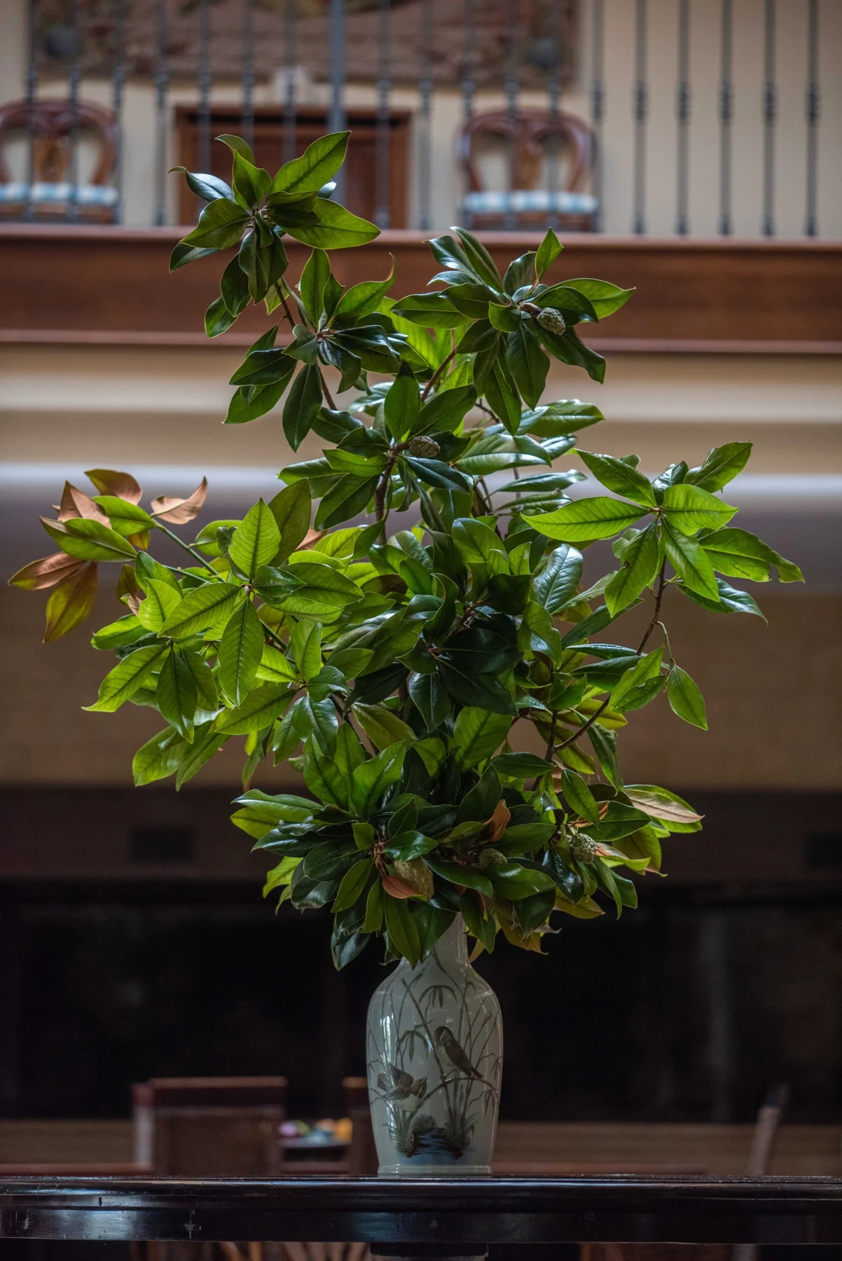 Plants beneath the light of the glazed courtyard