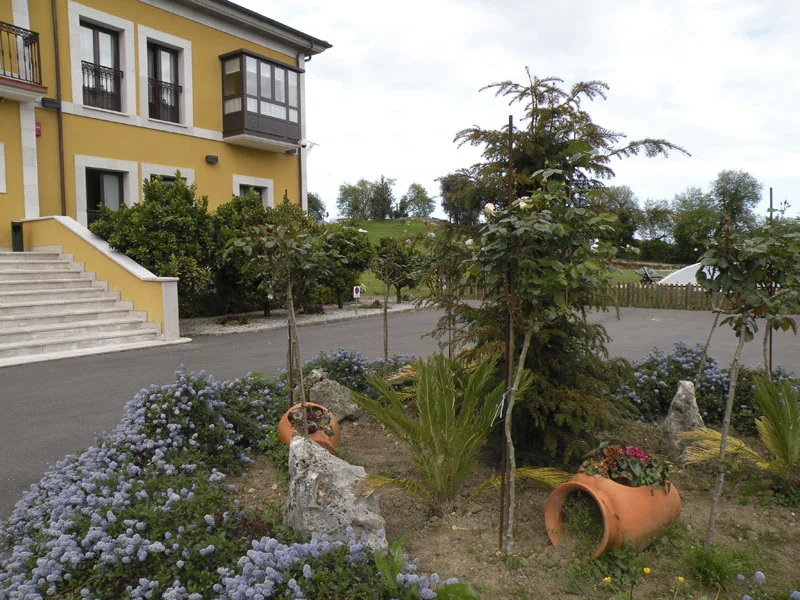 Trees and plants beside the hotel entrance