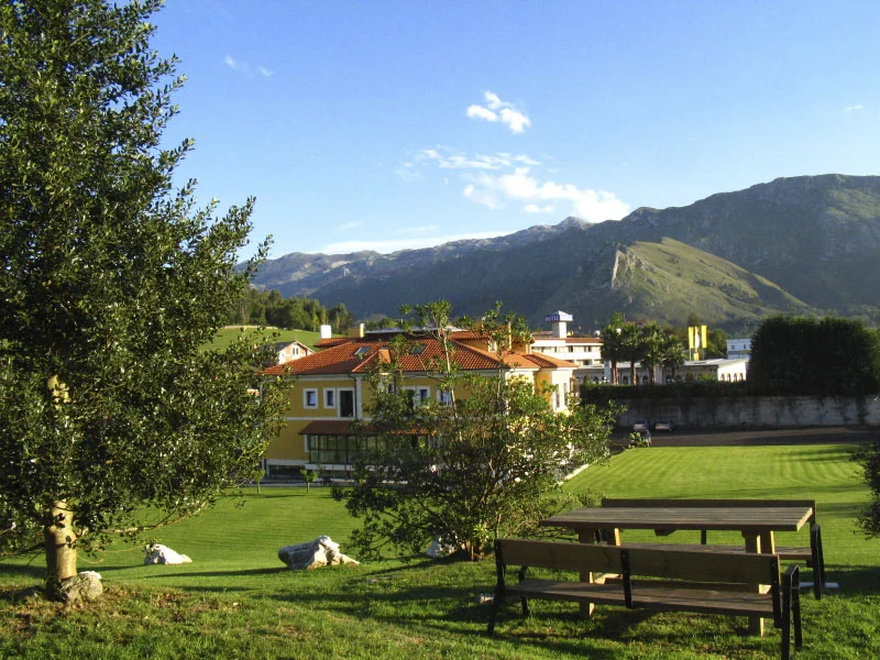 Hotel garden with wooden picnic tables and mountain views